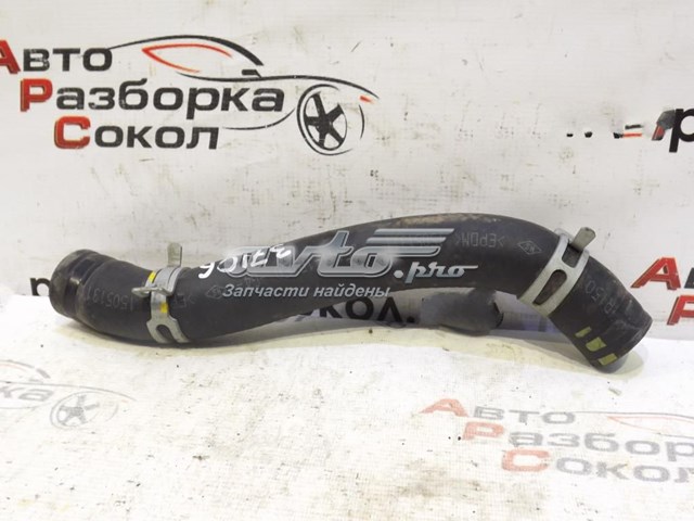 Manguera superior del radiador 254111R150 Hyundai/Kia
