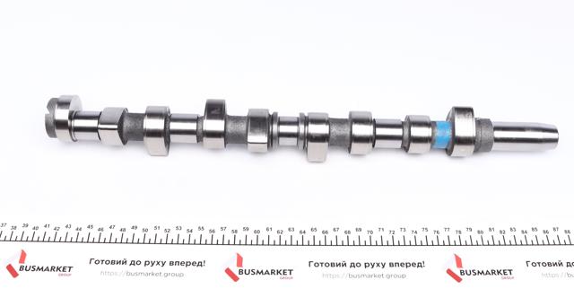 669851 AMC Kit árbol de levas
