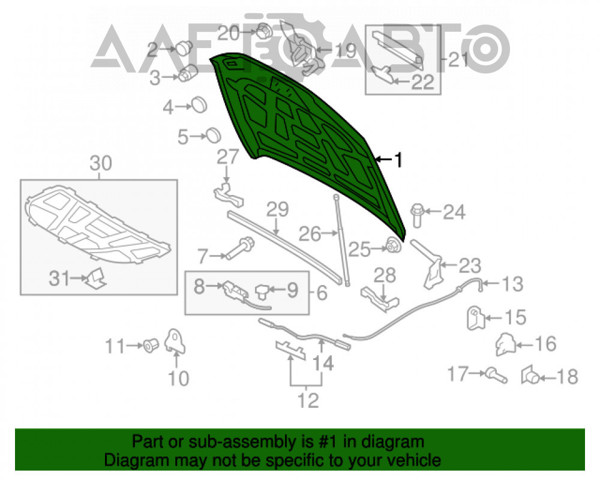 Capó 30823138 AND