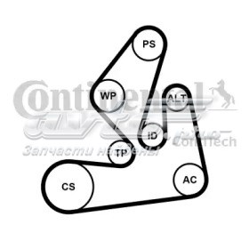 7PK1970K1 Continental/Siemens correa de transmision, juego completo