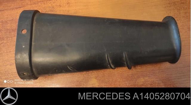 A1405280704 Mercedes