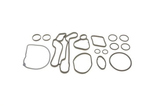 Junta del adaptador del filtro de aceite Solgy 113019
