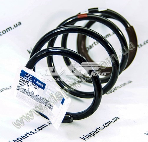Muelles delantero Hyundai/Kia 546301R001