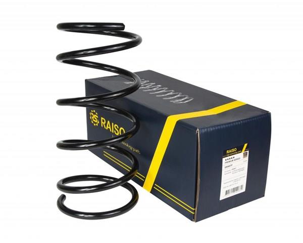 SR068TP Raiso Muelle delantero