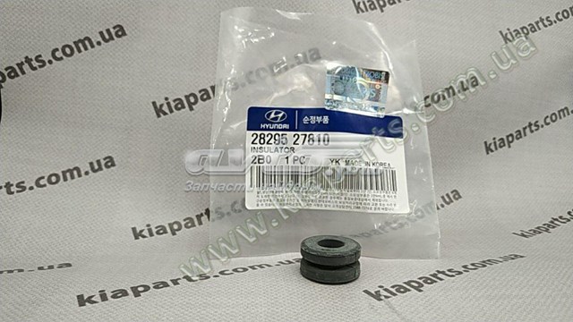 2829527810 Hyundai/Kia