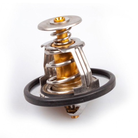 Termostato 1018020600 BYD