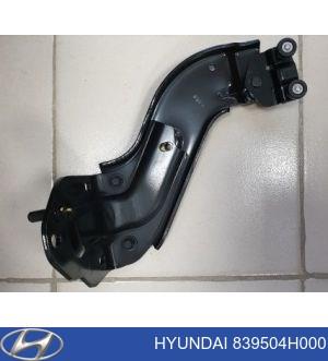 Rodillo inferior izquierdo de puerta lateral corrediza Hyundai/Kia 839504H000