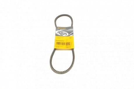 Correa de transmisión trapezoidal Continental/Siemens AVX10X813 precio, desde 8,16 EUR