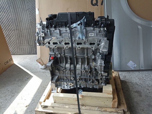  1613251380 Peugeot/Citroen