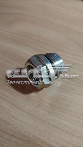  Bosch 2443461020