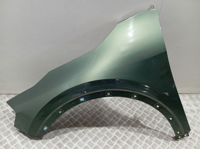 Aleta delantera izquierda Hyundai/Kia 66311P1000 precio, desde 117,20 EUR