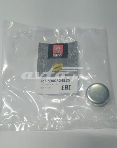  Renault (RVI) 5000824825