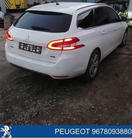 1611503480 Peugeot/Citroen