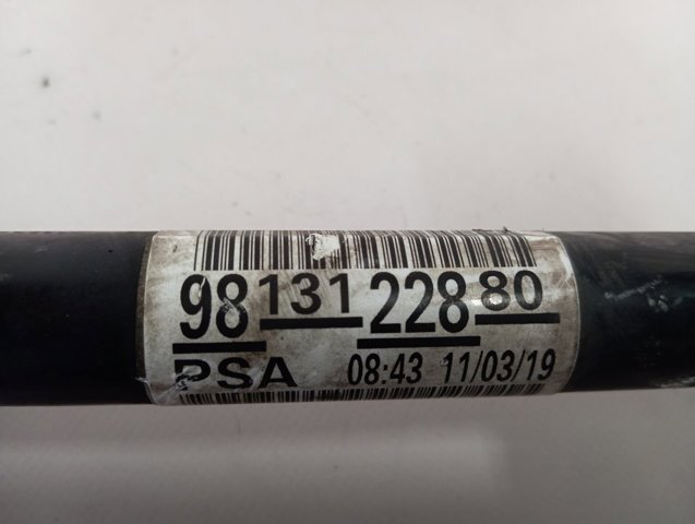 9813122880 Peugeot/Citroen 