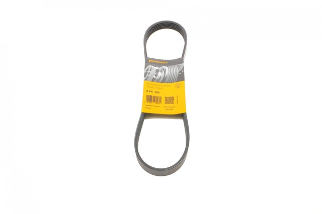 Correa de transmisión trapezoidal Continental/Siemens 6PK836 precio, desde 24,36 EUR