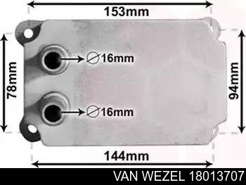 18013707 VAN Wezel radiador de aceite, bajo de filtro