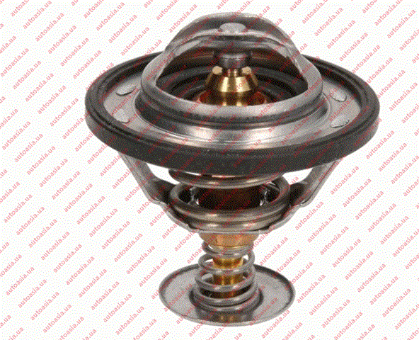 Termostato 1023779300 BYD