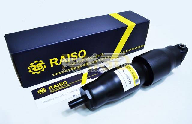 Amortiguadores traseros Raiso RS105820