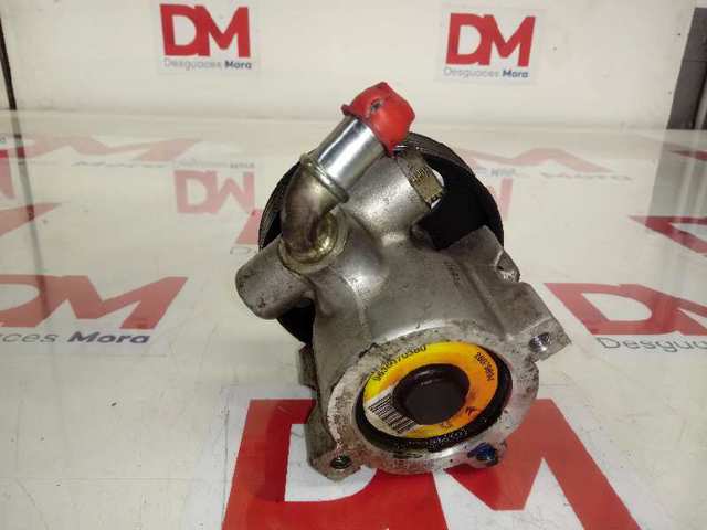9636070380 Peugeot/Citroen Bomba hidráulica de dirección