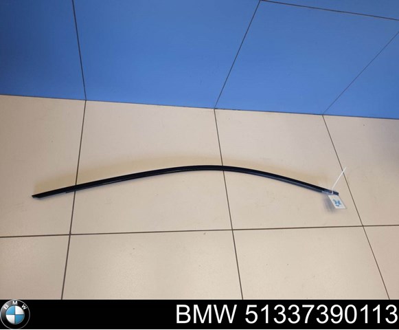 51337390113 BMW