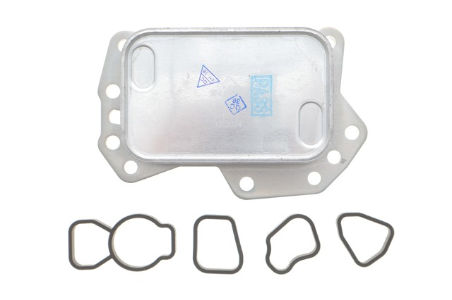 Radiador de aceite debajo del filtro 213050344R Renault (RVI)