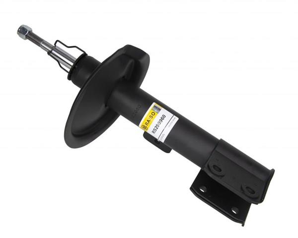 RS290960 Raiso Amortiguador eje delantero derecha