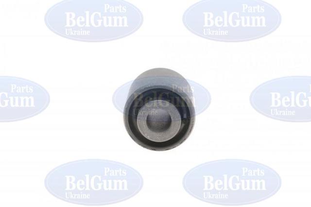 BG1139 Belgum Buje del brazo inferior trasero