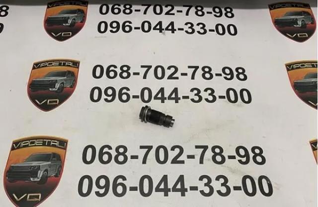 Tensor de cadena de distribución JDE39113 Jaguar