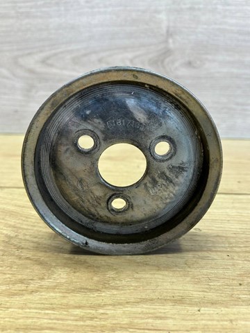 Polea de la bomba de dirección asistida Fiat/Alfa/Lancia 51817135 precio, desde 56,63 EUR