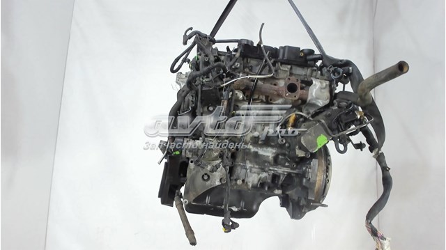 0135TQ Peugeot/Citroen motor completo