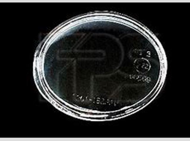 Comprar FP4809981 FPS Refuerzo parachoques trasero