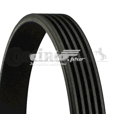 5PK1225 Continental/Siemens Correa poly v