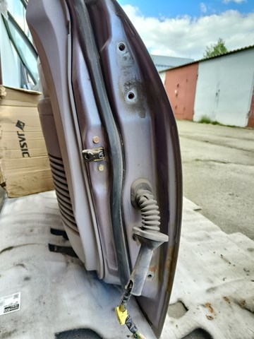 Comprar Puerta delantera izquierda Mitsubishi Grandis  NAW