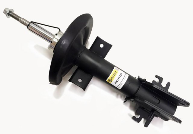 Amortiguadores Raiso RS317422 precio, desde 61,68 EUR