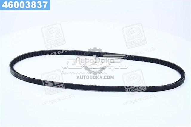 Correa de alternador 10A0900C Dayco