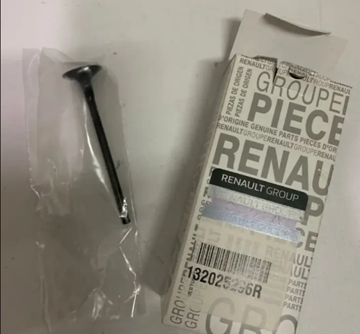 132025724R Renault (RVI) Válvula de escape