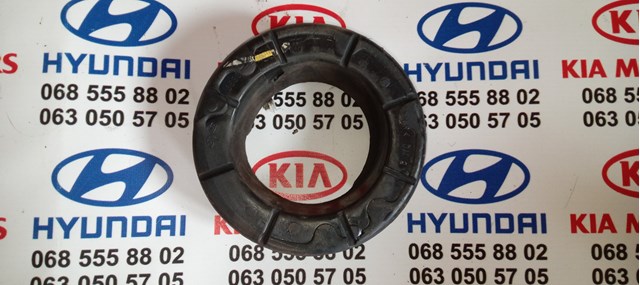 553312P000 Hyundai/Kia caja de muelle, eje trasero, arriba