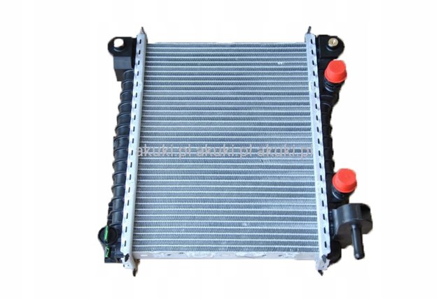 Radiador de aire de admisión Fiat/Alfa/Lancia 50540153 precio, desde 197,86 EUR