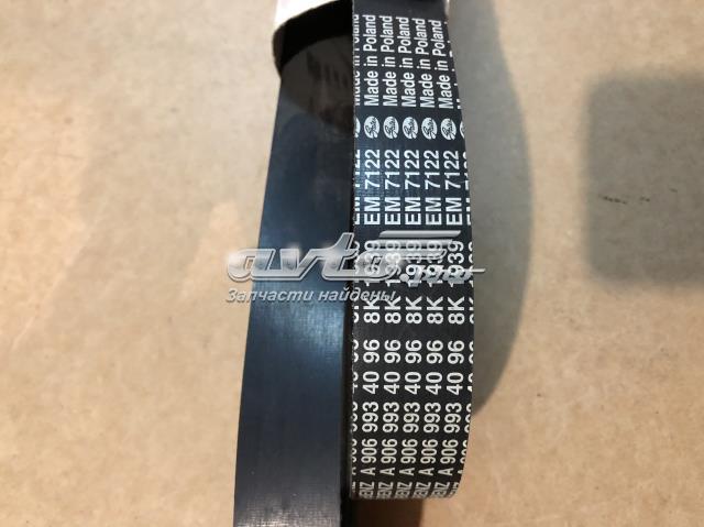A9069934096 Mercedes Correa poly v