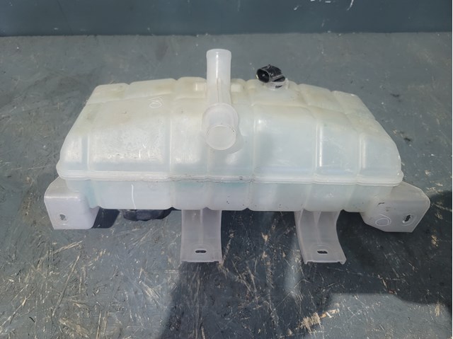 Comprar Vaso de expansión Tesla Model S  5YJS