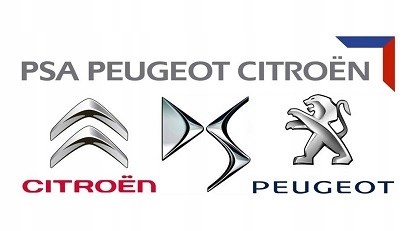 9805243280 Peugeot/Citroen Refuerzo parachoque delantero