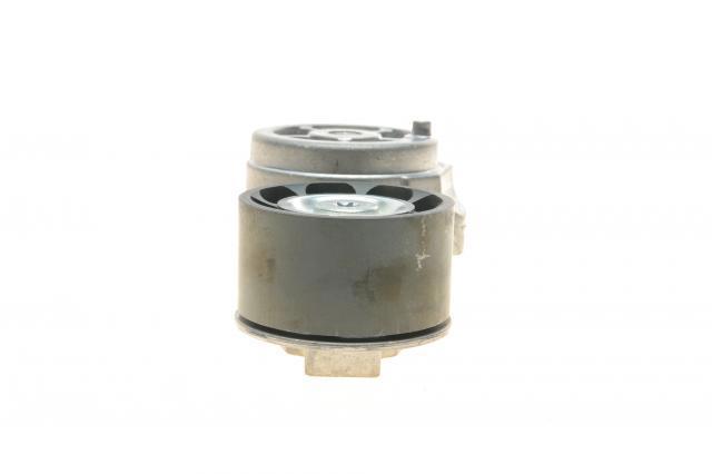 Tensor de correa poli V APV3046 Dayco