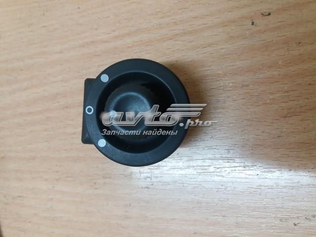 255704649R Renault (RVI) unidad de control espejo de la puerta