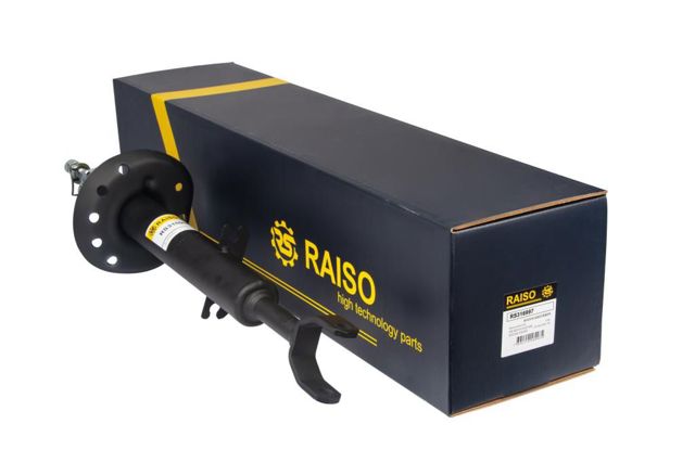 RS316997 Raiso Amortiguador frontal