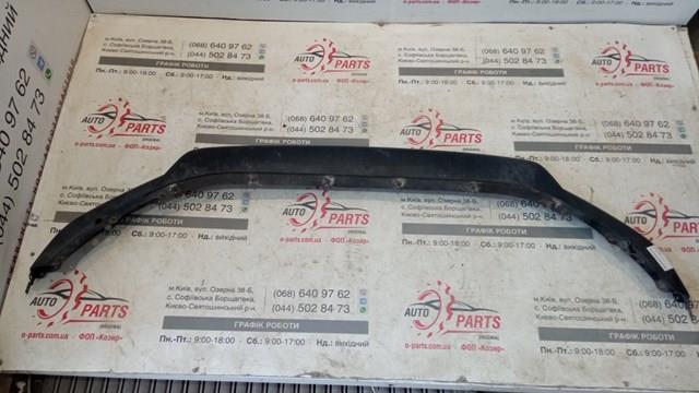 Alerón delantero 960105NA0A Nissan/Infiniti