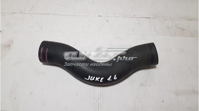 Manguera del intercooler Nissan/Infiniti 144631KC0A precio, desde 26,35 EUR