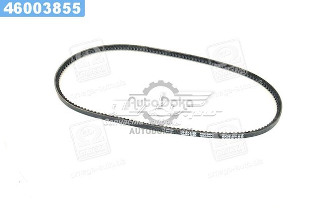 10A1040C Dayco Correa poly v