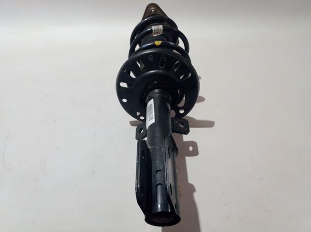 9852218480 Peugeot/Citroen Amortiguador frontal