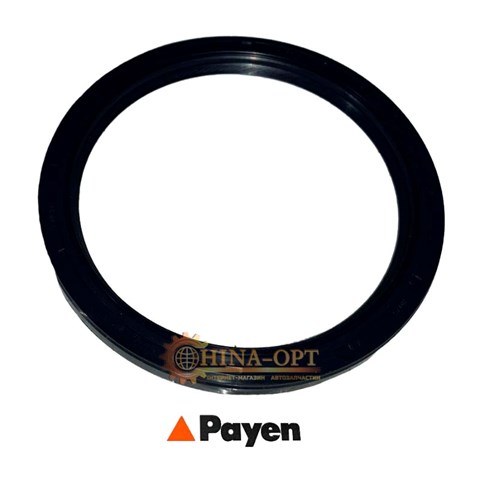 1018587400 BYD Anillo retén cigüeñal
