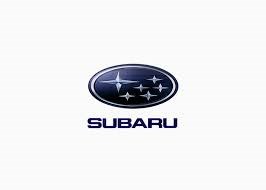Guardapolvo de dirección izquierdo (cremallera) Subaru 34137AE010